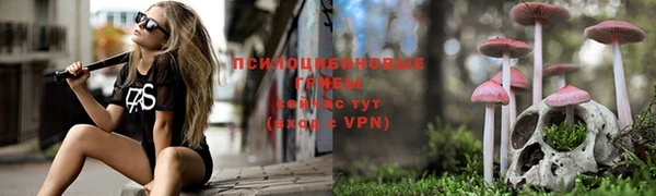 дмт Абинск