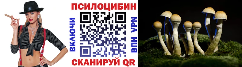Псилоцибиновые грибы Psilocybe  Пошехонье 